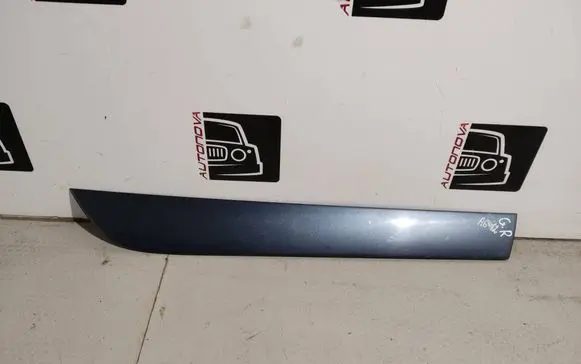 Audi A6 S6 C6 4F Rear door trim (molding)