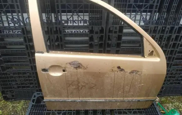 Skoda Fabia Mk1 (6Y) Front door rudos