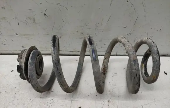 Nissan Qashqai Rear coil spring