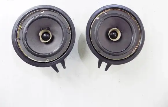 Renault Avantime High frequency speaker in the rear doors 