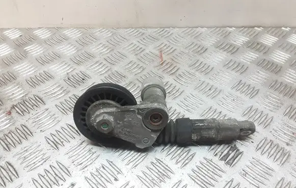 Volkswagen PASSAT B5.5 Alternator belt tensioner 