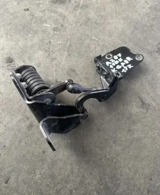 Tailgate/trunk/boot hinge