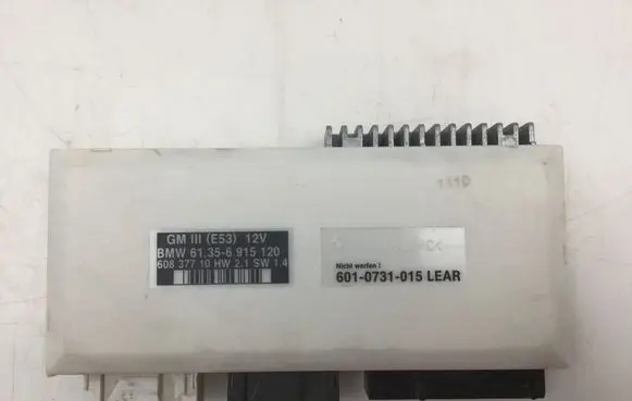 BMW X5 E53 Other control units/modules 61356915120