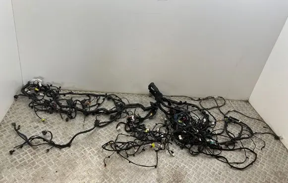 MG ZS Other wiring loom 11217235 2021101319 218094