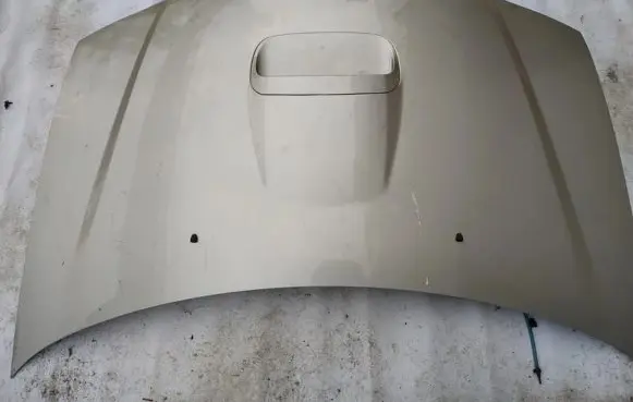 KIA Carnival Engine bonnet/hood pilkas