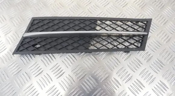 BMW 5 F10 F11 Front bumper lower grill 7231859 7200699