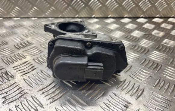 Seat Exeo (3R) EGR valve 03L131501