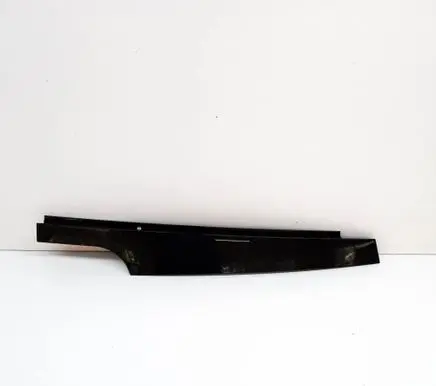 BMW X3 G01 Front door glass trim molding 7410021