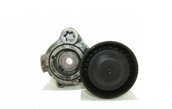 Opel Antara Alternator belt tensioner 
