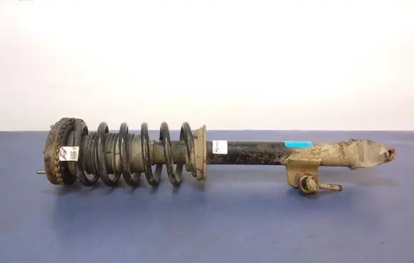 Dodge Charger Front shock absorber with coil spring 04895627AB