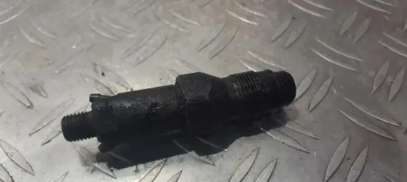 Citroen Berlingo Fuel injector lcr6736001