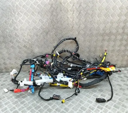 Tesla Model Y Other wiring loom 248904202C 248905901A