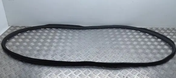Trunk rubber seal (body)
