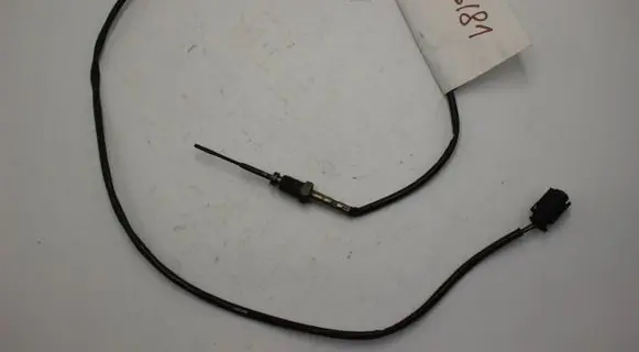 BMW X1 F48 F49 Exhaust gas temperature sensor 8570121 D05T06