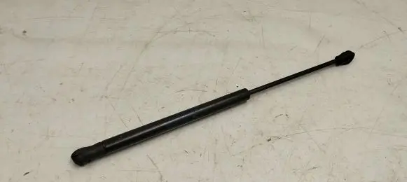 Tailgate strut