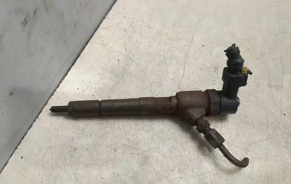 Citroen C4 I Fuel injector 0445110183