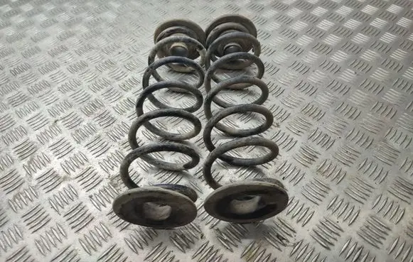 Skoda Octavia Mk3 (5E) Rear coil spring