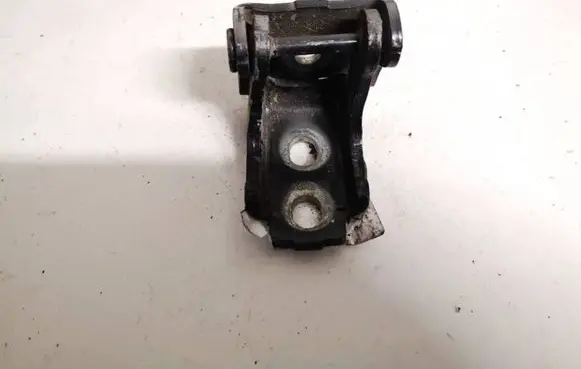 Renault Megane III Rear door lower hinge
