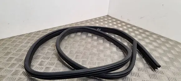 Ford Kuga II Front door rubber seal 