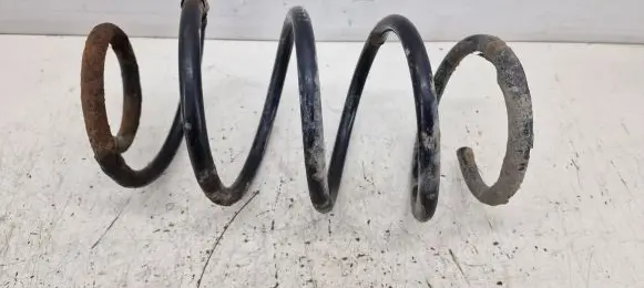 Front coil spring