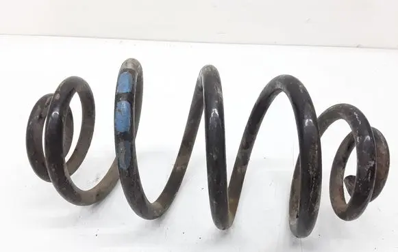 Volkswagen PASSAT B5 Rear coil spring