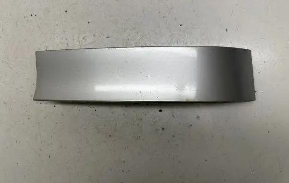 Rear/tail light trim molding