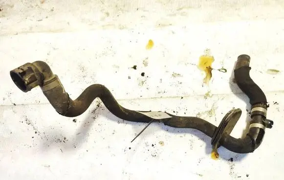 Engine coolant pipe/hose