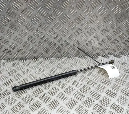 Fiat 500E Tailgate/trunk strut/damper 00521843220