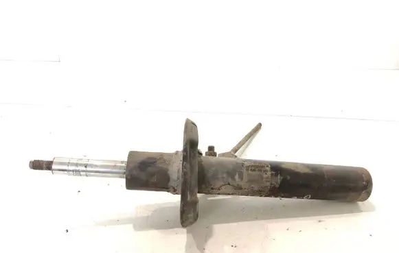 Volkswagen PASSAT B6 Front shock absorber/damper 3C0413031AA 824904002054 VW461ZFV204