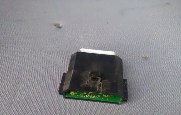 Tail light part