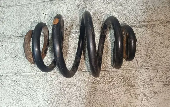 Rear coil spring