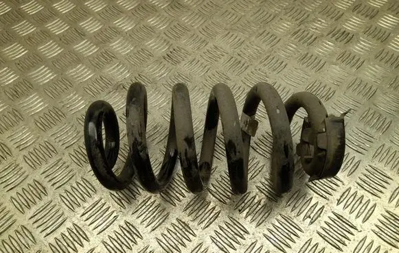 Audi Q4 e-tron Rear coil spring 1EA511103FF