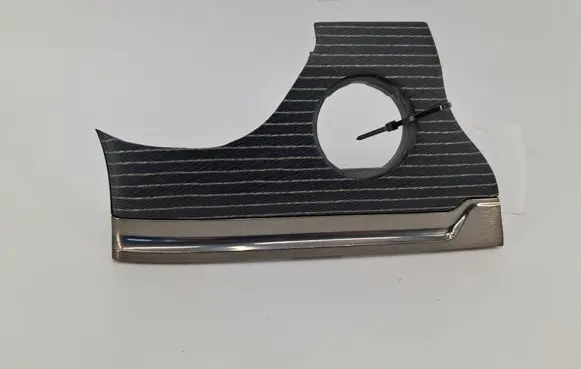 Ram 1500 Panel trim 2440214TZS