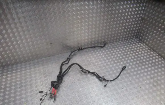 Mercedes-Benz S W222 Positive wiring loom A2225406214