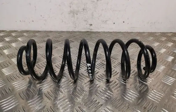 Ford Ecosport Rear coil spring