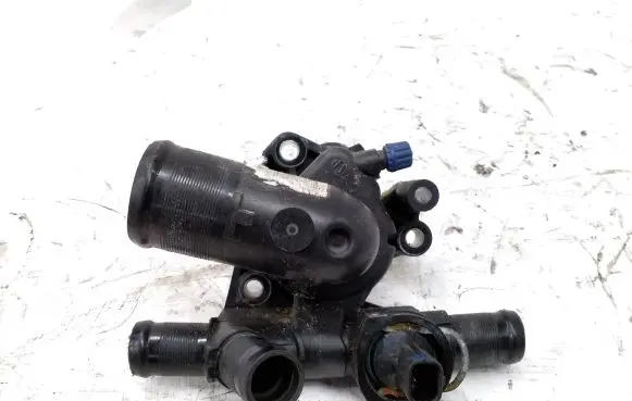 Thermostat/thermostat housing