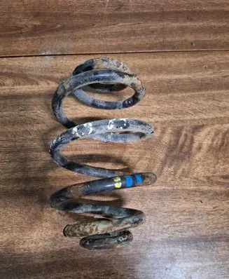 Volkswagen PASSAT B5 Rear coil spring
