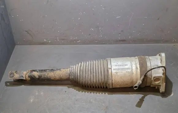Audi A8 S8 D3 4E Shock absorber/damper/air suspension 4E0616002G 169ATE020A8AA5S