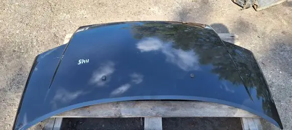Engine bonnet/hood