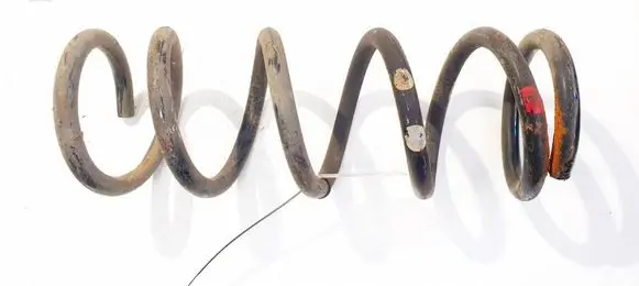 Rear coil spring