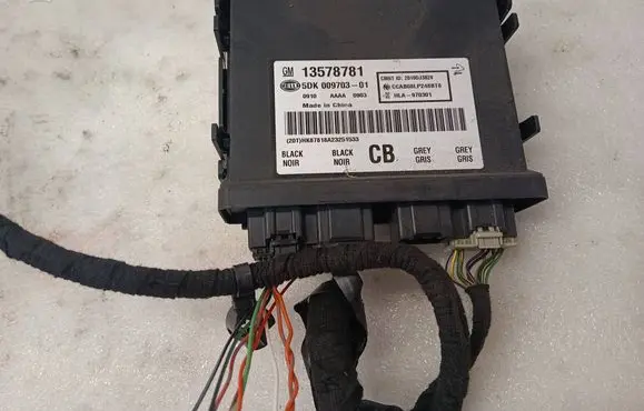 Chevrolet Volt I Keyless (KESSY) go control unit/module 13578781 5DK00970301