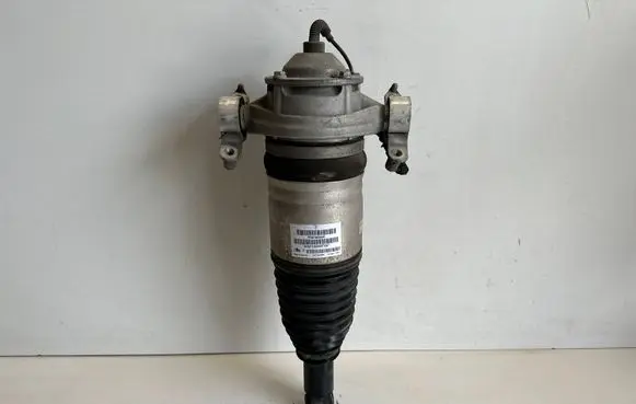 Porsche Cayenne (92A) Rear shock absorber/damper 7P5616020AG