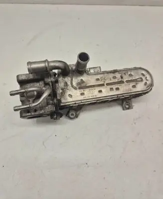 Volkswagen Golf Plus EGR valve 038131513AD 3210275