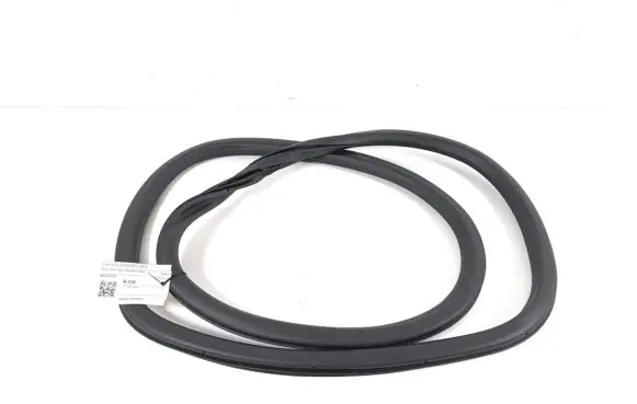 Rear door rubber seal (on body)