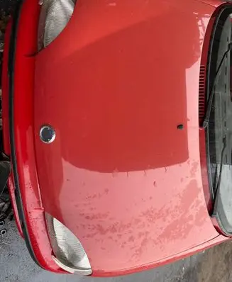 Fiat Seicento/600 Engine bonnet/hood