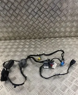 Audi Q5 SQ5 Other wiring loom 80A971029