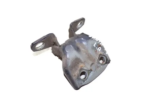 Hyundai Santa Fe Rear door lower hinge