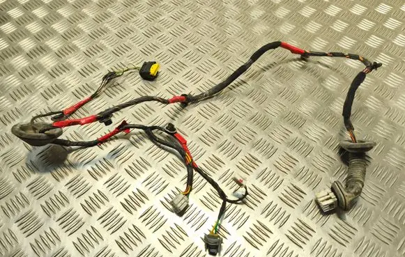 Hyundai Sonata Rear door wiring loom 919803K050