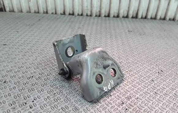 Peugeot 407 Front door lower hinge 