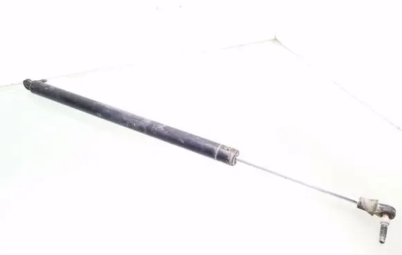 Tailgate/trunk strut/damper